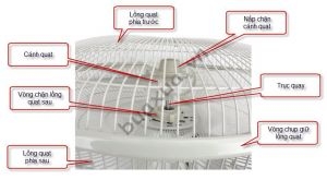 Cách vệ sinh và bảo dưỡng các loại quạt điện thông dụng