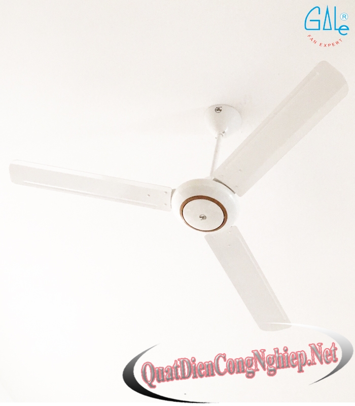 Quạt trần 3 cánh Gale CF56PL-S