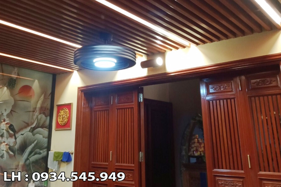 Quạt trần Benny Firenze BF-C73BLS