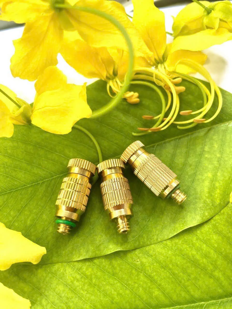 Béc Phun Sương Số 3