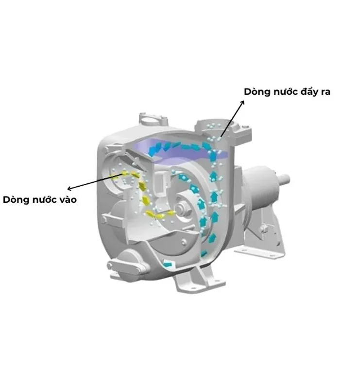 Máy bơm nước cao áp Inox Tân Hoàn Cầu S-1100 1.5HP