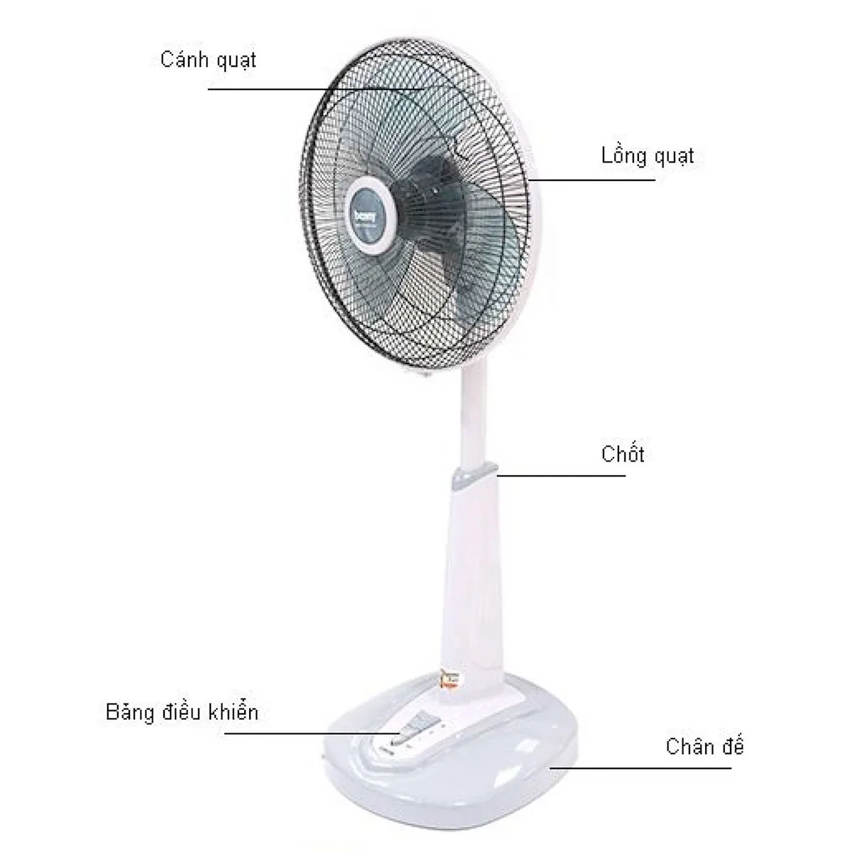 Quạt đứng lửng Benny BF41SL