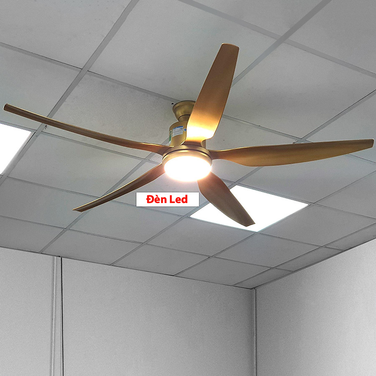 Quạt trần AC 5 cánh ACF03D665