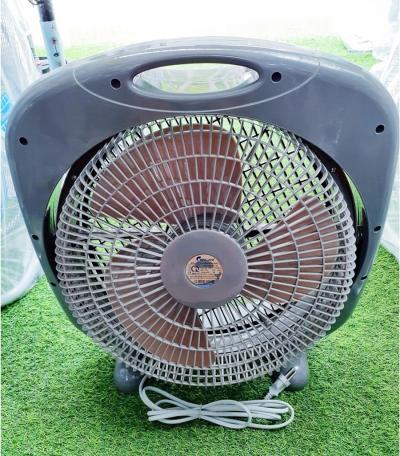 Quạt Chinghai hộp BF168