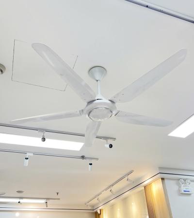 Quạt trần 5 cánh Superlite Max CF-565D