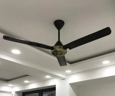 Quạt trần KDK N56YG