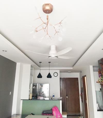 Quạt Trần KDK W56WV