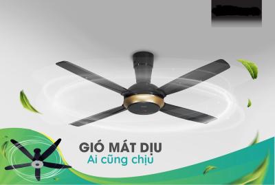 Quạt trần Panasonic F-56XPG