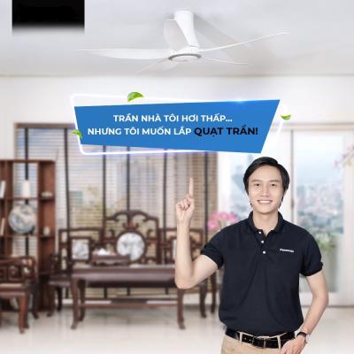 Quạt trần Panasonic F-60TDN