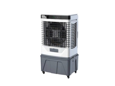 Quạt điều hoà không khí Rapido Windy D