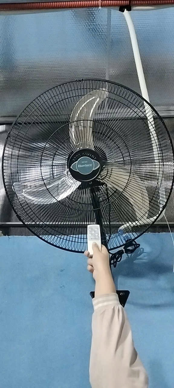 Nguyễn Đình Đệ