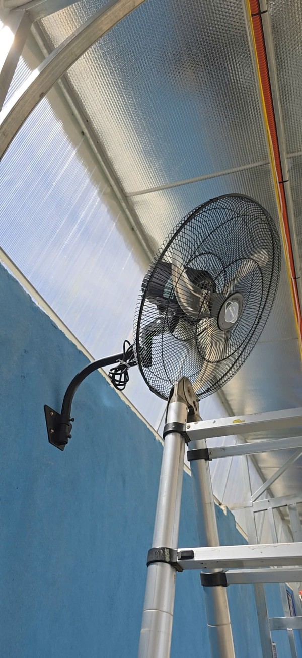 Nguyễn Kim Cương