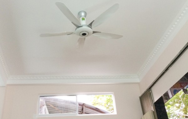 Đặng Thị Tuyết Hải