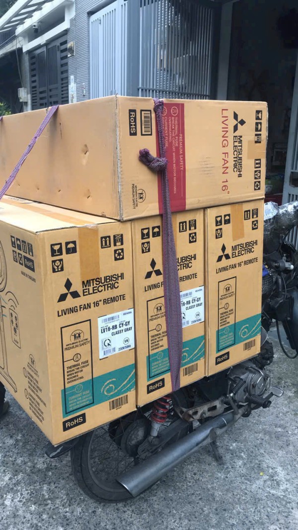 Nguyễn Mạnh Dũng