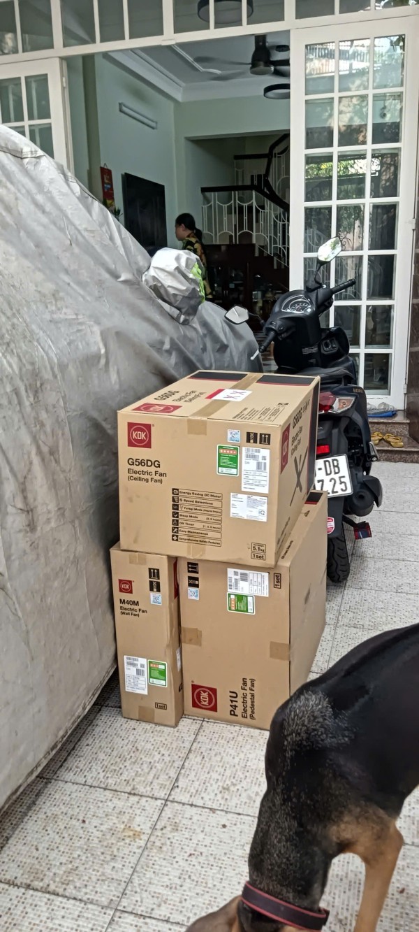 Nguyễn Trịnh Hải