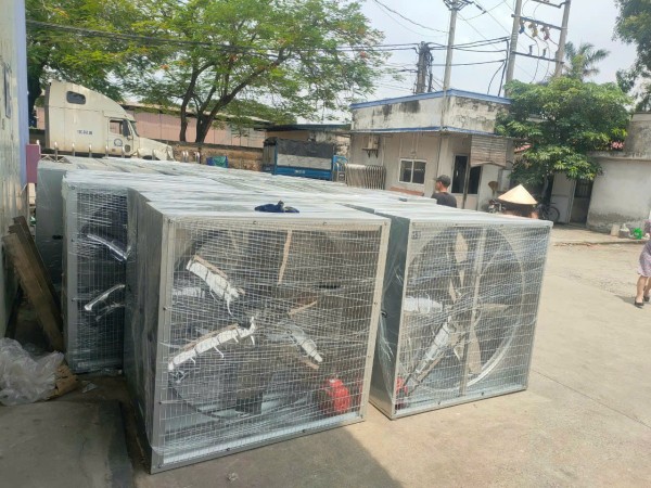 ĐIỆN NƯỚC LONG AN